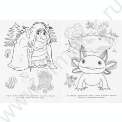 Раскраска А4 Лесные истории NEW | Фото 4