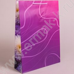 Пакет подарочный бумажный 33*45см Женский микс NEW | Фото 4