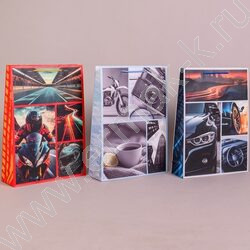 Пакет подарочный бумажный 33*45см Мужской микс NEW | Фото 2