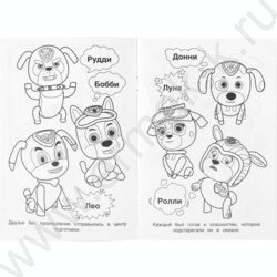 Раскраска А5 Мега Щенки.Приключения зовут NEW | Фото 3