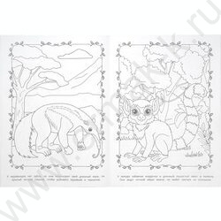 Раскраска А4 Весёлые джунгли NEW | Фото 3