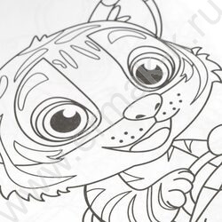 Раскраска А4 Пушистые гонщики NEW | Фото 6