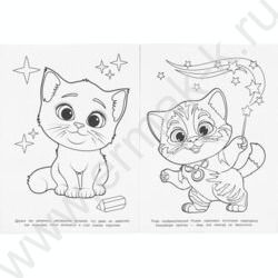 Раскраска А4 Котик Рыжик и его друзья NEW | Фото 5