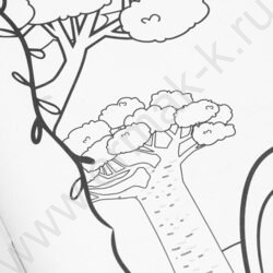 Раскраска А4 Животные жарких стран NEW | Фото 6