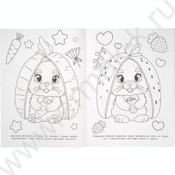 Раскраска А4 Домик мечты NEW | Фото 3