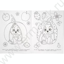 Раскраска А4 Домик мечты NEW | Фото 4