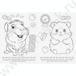 Раскраска А4 Пушистые друзья NEW | Фото 4