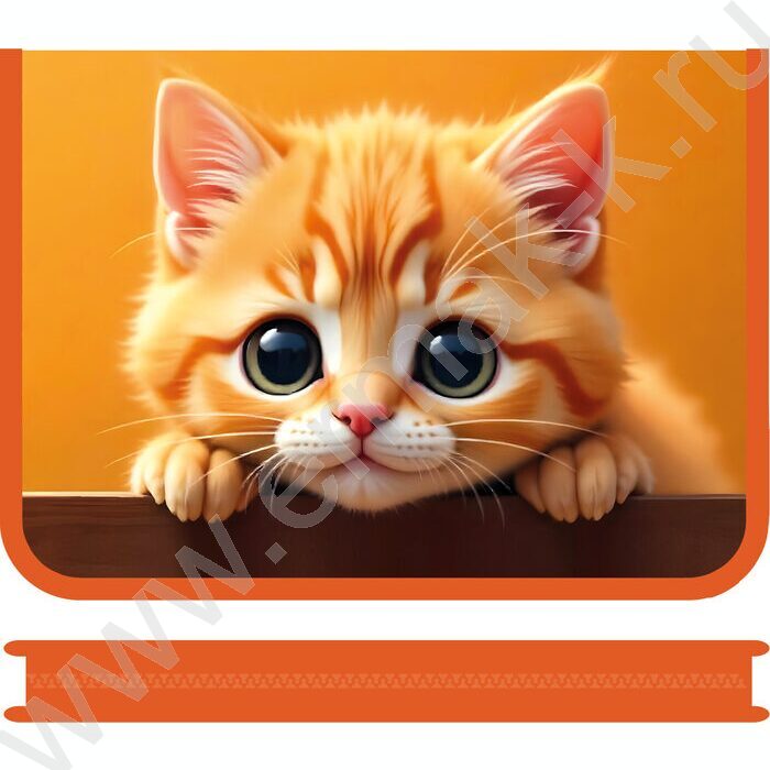 Папка д/тетрадей А4 пластик молния вокруг Рыжий котик | Фото 1