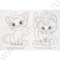 Раскраска А4 Кошачье царство NEW | Фото 2