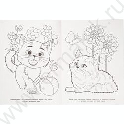 Раскраска А4 Кошачье царство NEW | Фото 3