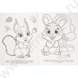 Раскраска А4 Лесные жители NEW | Фото 3