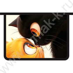 Папка д/тетрадей А4 пластик молния сверху, печать на картоне Два кота NEW | Фото 1