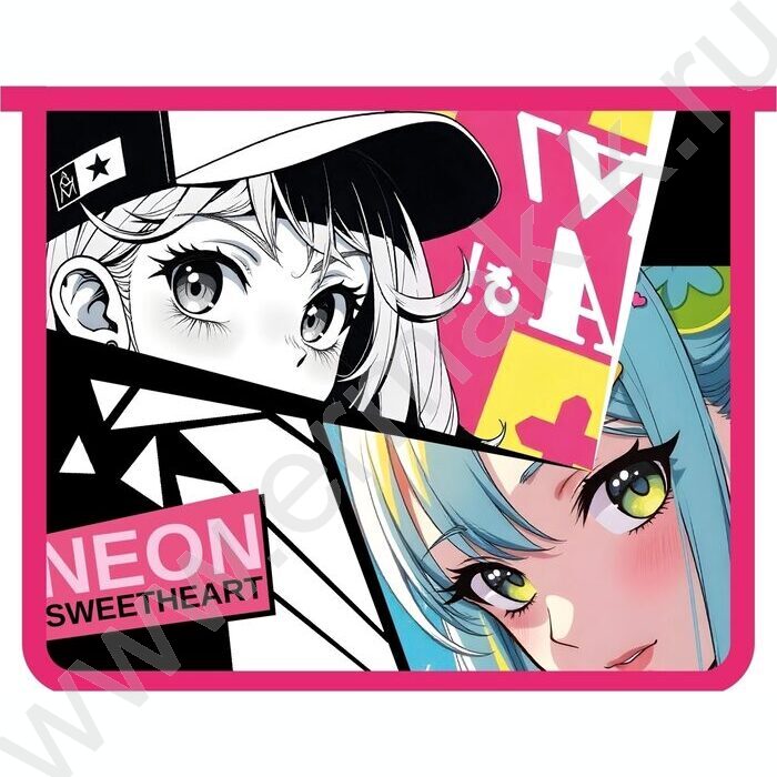 Папка д/тетрадей А5 пластик молния сверху Аниме взгляд | Фото 1