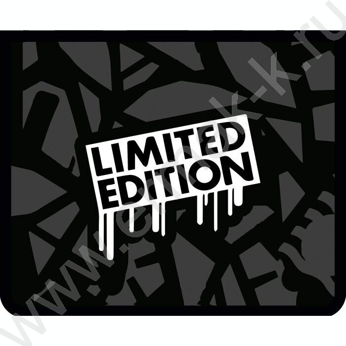 Папка д/тетрадей А5 пластик молния сверху, печать на картоне Black edition | Фото 1