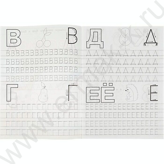 Пропись А5 Прописи для детского сада.Пишем буквы правильно.5-6 лет | Фото 2