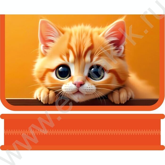 Пенал б/наполн. 1молния 190*115мм Рыжий котёнок /большой | Фото 1