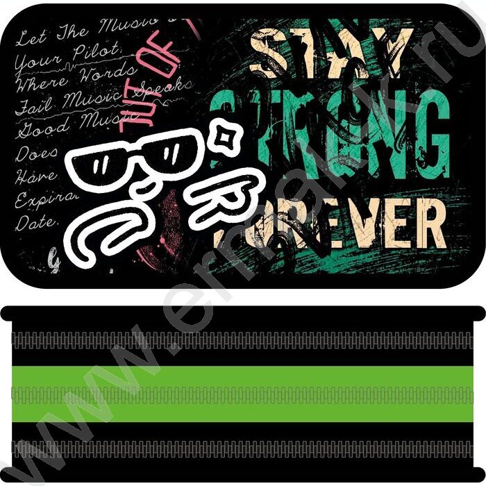 Пенал б/наполн. 3молнии 190*105мм Stay strong /большой, тканевый торец | Фото 1