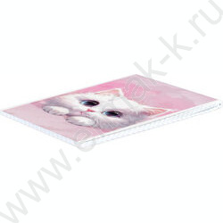 Блокнот  40л А6 "Белый кот" /глянц.лам./клетка NEW | Фото 2