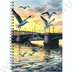 Блокнот  48л А5 спираль "Чайки у моста" клетка/мат.лам. NEW | Фото 1