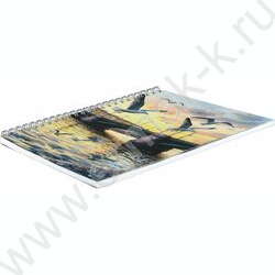 Блокнот  48л А5 спираль "Чайки у моста" клетка/мат.лам. NEW | Фото 2