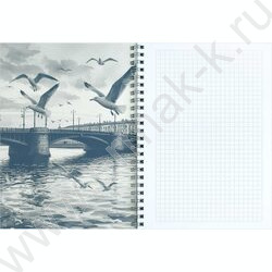 Блокнот  48л А5 спираль "Чайки у моста" клетка/мат.лам. NEW | Фото 3