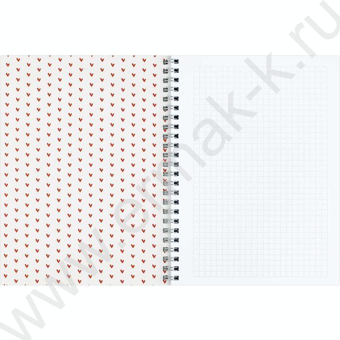 Блокнот  48л А5 спираль "Сердечки на сером" клетка/мат.лам. | Фото 3