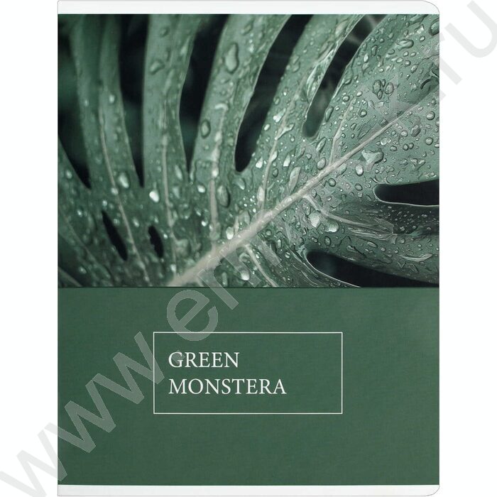 Тетрадь  48л клетка "Красота природы" /ламинация "софт-тач" вельвет/ ассорти | Фото 2