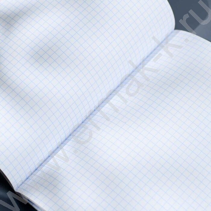 Тетрадь  48л клетка "Красота природы" /ламинация "софт-тач" вельвет/ ассорти | Фото 7