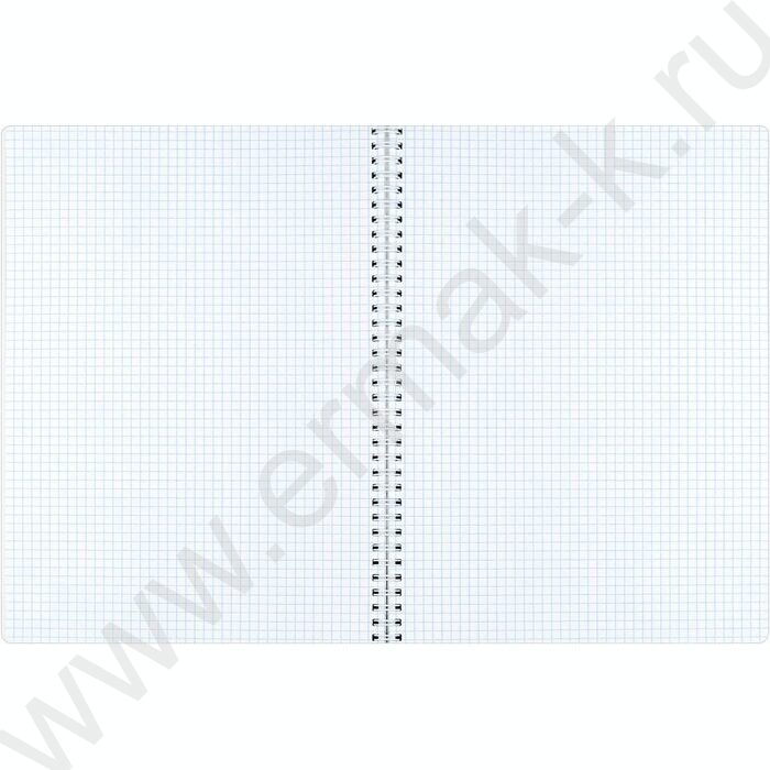 Тетрадь  96л А4 клетка/спираль "Лепестки" /мат.лам./ | Фото 3