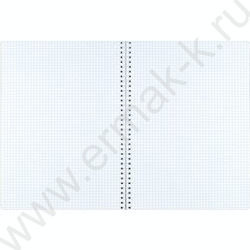 Тетрадь  96л А4 клетка/спираль "Дорога в горы" /мат.лам./ NEW | Фото 3