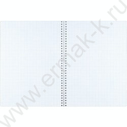 Тетрадь  96л А4 клетка/спираль "Нуарные листья" /мат.лам./ NEW | Фото 3