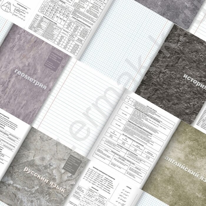 Тетрадь предметная 48л Набор 12шт "ЕСО Текстура" /матов. лам. | Фото 2