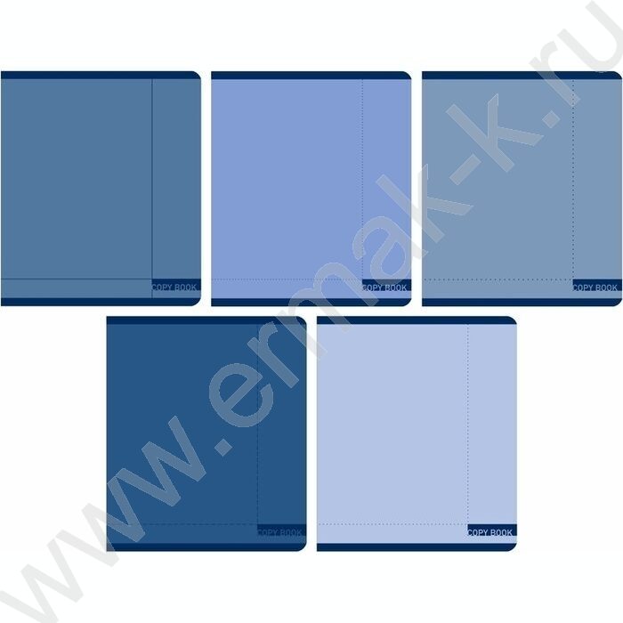 Тетрадь  48л клетка "Синяя гамма" /мел.карт., матов.лам. /ассорти | Фото 1