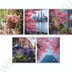 Тетрадь  48л клетка "Весна" /мел.карт. /ассорти NEW | Фото 1