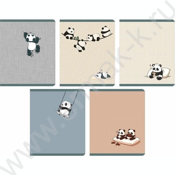 Тетрадь  48л клетка "День панды" /мел.карт., матов.лам. /ассорти | Фото 1