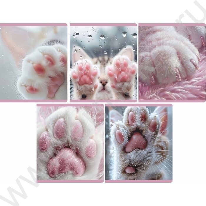 Тетрадь  48л клетка "Лапки" /мел.карт., глянц.лам. /ассорти | Фото 1