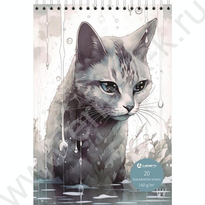 Скетчбук  20л А5 спираль сверху "Дождь" /твердая подложка, черная и белая бумага  160г/кв.м | Фото 1