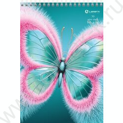 Скетчбук  30л А5 спираль сверху "Бабочка" /обложка-софт тач, твердая подложка, 160г/кв.м | Фото 1