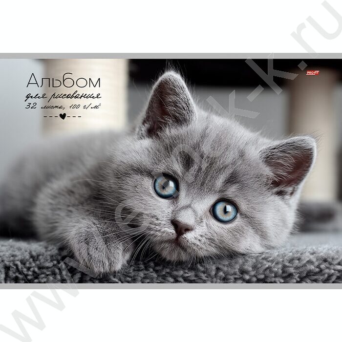 Альбом д/рисования 32л "Котики" ассорти | Фото 3