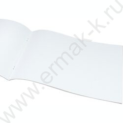 Альбом д/рисования 40л "Зеленоглазая кошка" NEW | Фото 2