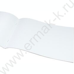 Альбом д/рисования 40л "Забавные коты-3" ассорти NEW | Фото 4