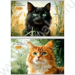 Альбом д/рисования 40л "Котики в траве" /лен/ ассорти NEW | Фото 1