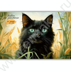 Альбом д/рисования 40л "Котики в траве" /лен/ ассорти NEW | Фото 2