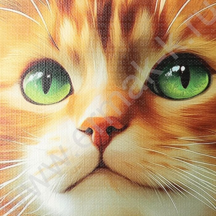 Альбом д/рисования 40л "Котики в траве" /лен/ ассорти | Фото 6