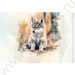 Альбом д/рисования-спираль 40л "Милые животные-6" ассорти NEW | Фото 3