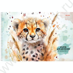 Альбом д/рисования-спираль 40л "Милые животные-6" ассорти NEW | Фото 4