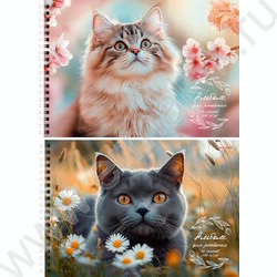 Альбом д/рисования-спираль 40л "Коты и цветы" /лен/ ассорти NEW | Фото 1
