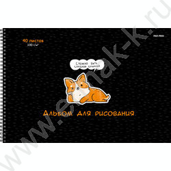 Альбом д/рисования-спираль 40л "Маленькие друзья" /мат.лам, выб.лак/ NEW | Фото 1