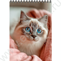 Блокнот  80л А5 спираль "Уютные котики-2" ассорти NEW | Фото 2