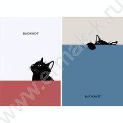 Блокнот  48л А7 склейка "Забавный чёрный кот-4" NEW | Фото 1